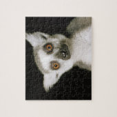 キツネザル。 ジグソーパズル (縦)