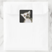 キツネザル。 スクエアシール (バッグ)