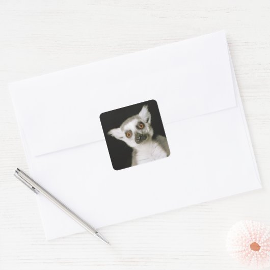 キツネザル。 スクエアシール (封筒)