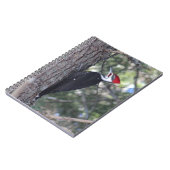 キツネザル ノートブック (左側)