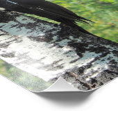 キツネザル フォトプリント            (角)