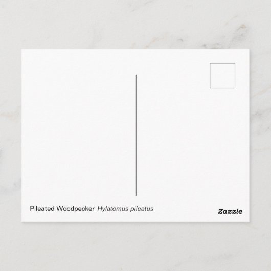 キツネザル ポストカード (裏面)