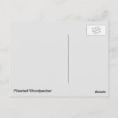 キツネザル ポストカード (裏面)