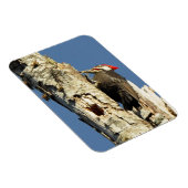 キツネザル マグネット (右側)