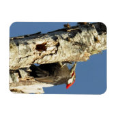 キツネザル マグネット (横)