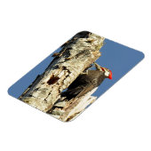 キツネザル マグネット (左側)