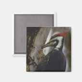 キツネザル マグネット (正面/裏面)