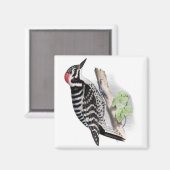 キツネザル マグネット (正面/裏面)