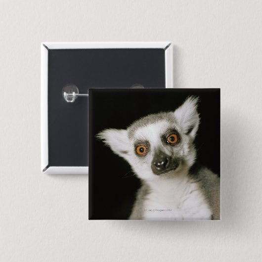 キツネザル。 缶バッジ (正面&裏面)