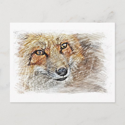 キツネスケッチはがき ポストカード (正面)