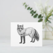 キツネスケッチ ポストカード (スタンド正面)