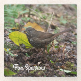 キツネスパロー ガラスコースター