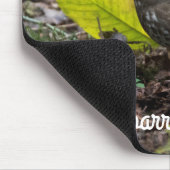 キツネスパロー マウスパッド (コーナー)