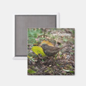 キツネスパロー マグネット (正面/裏面)