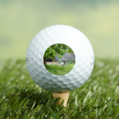 キツネテリアおもしろいー・スケア顔 ゴルフボール (インサイチュ 木)