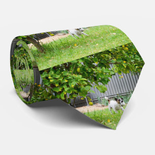 キツネテリアおもしろいー・スケア顔 ネクタイ