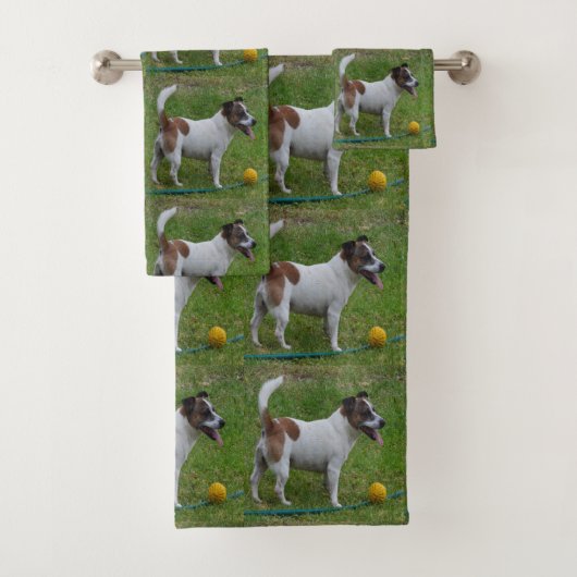 キツネテリアと彼の黄色いボール、バスタオオルセット バスタオルセット (インサイチュ)