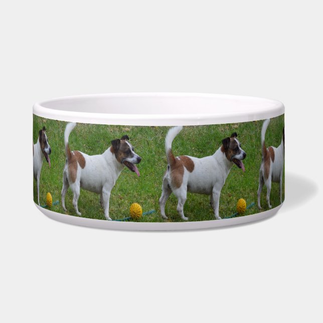 キツネテリアと彼の黄色いボール、ボグボウル ボウル (正面)