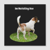 キツネテリアのガードデューティ、磁気カード (正面)