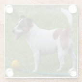 キツネテリアはボールを持っていた ガラスコースター (裏面)