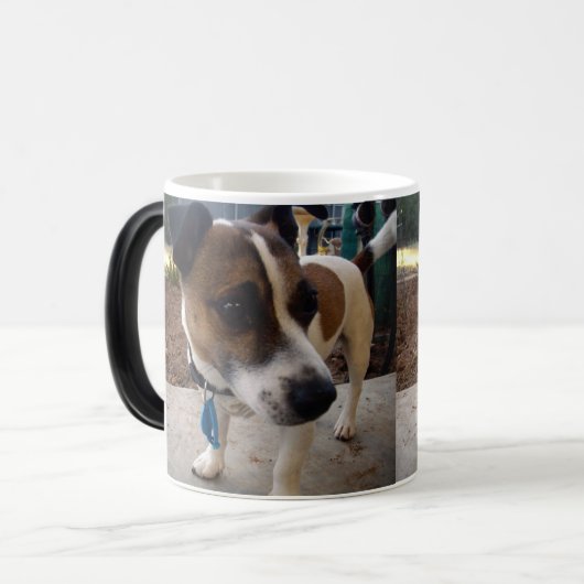 キツネテリアアトラクション、魔法モーフコーヒーマグ モーフィングマグカップ (正面左)