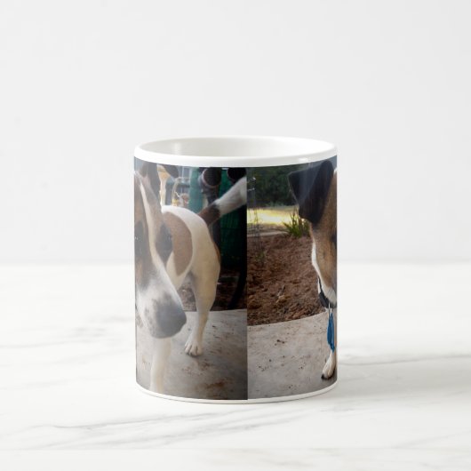 キツネテリアアトラクション、魔法モーフコーヒーマグ モーフィングマグカップ (中央)