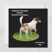 キツネテリアオンガードデューティフラット誕生日カード (裏面)