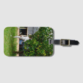 キツネテリアザリープラゲッジタグ ラゲッジタグ (正面横)