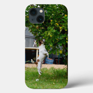 キツネテリアザリープiPhone 13ケース iPhone 13ケース