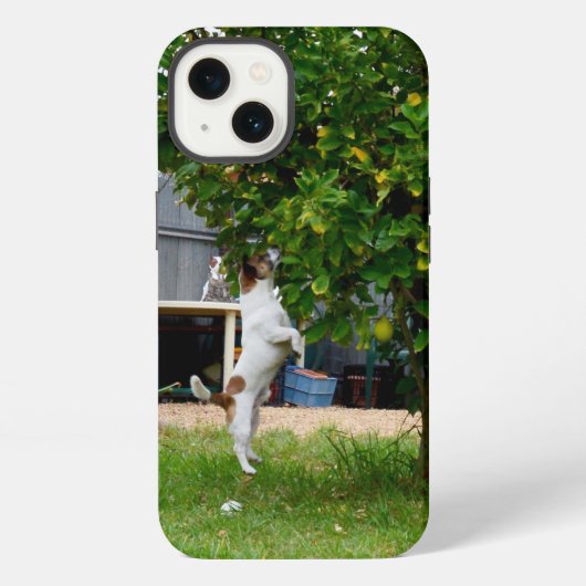 キツネテリアザリープiPhone 13ケース iPhoneケース (裏面)