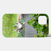 キツネテリアスケア顔、iPhone 13ケース Case-Mate iPhoneケース (裏面 (横))