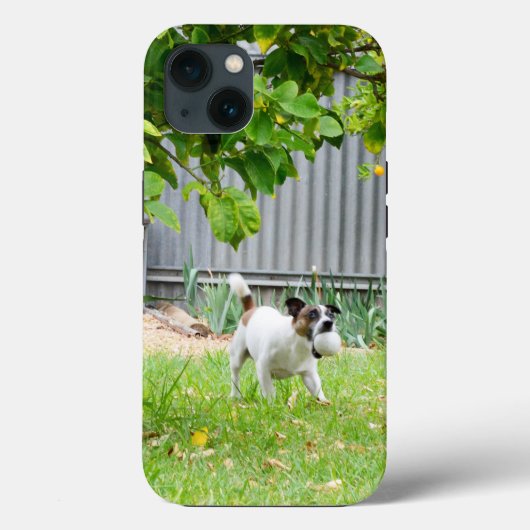 キツネテリアスケア顔、iPhone 13ケース Case-Mate iPhoneケース (裏面)