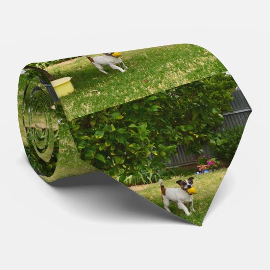 キツネテリアハッピー日、 ネクタイ (ロール)