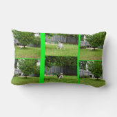 キツネテリアフォトコラージュ、ランバークッション。 ランバークッション (裏面)