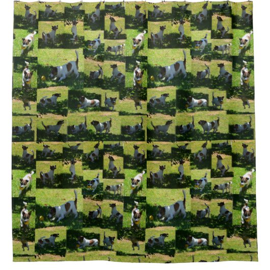 キツネテリア写真館 シャワーカーテン (正面)