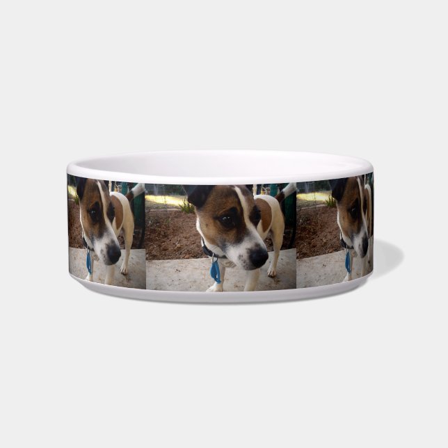 キツネテリア吸着小型セラミックペット ボウル (正面)