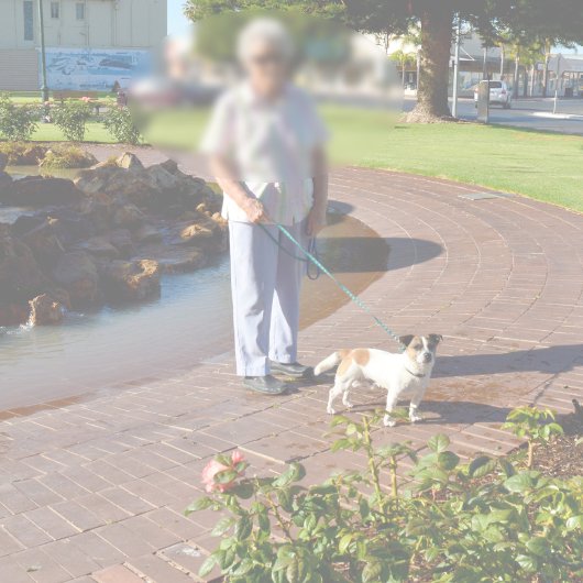 キツネテリア幸せ日、メモリフォームバスマット バスマット