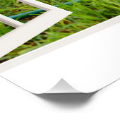 キツネテリア来遊ー、ポスター ポスター (コーナー)