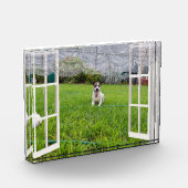 キツネテリア来遊、写真ブロック フォトブロック (左)