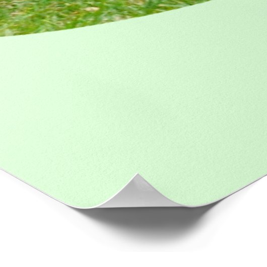 キツネテリア警告、 ポスター (角)