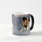 キツネテリア、ああ、シャイ、魔法モーフコーヒーマグ。 モーフィングマグカップ (正面右)