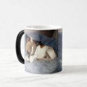 キツネテリア、ああ、シャイ、魔法モーフコーヒーマグ。 モーフィングマグカップ (正面左)