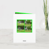 キツネテリア、フォトコラージュ、小誕生日カード カード (裏面)