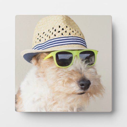 キツネテリア フォトプラーク (正面)