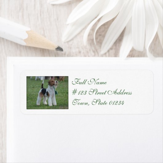 キツネテリア ラベル (インサイチュ)