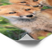 キツネノム ポスター (角)