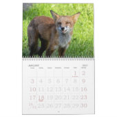 キツネファンニースカレンダー カレンダー (1月 2027)