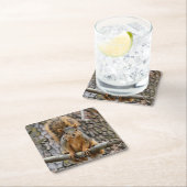 キツネフェイクリス スクエアペーパーコースター (インサイチュ)