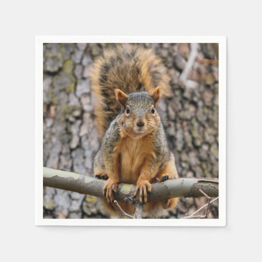 キツネフェイクリス スタンダードカクテルナプキン (正面)