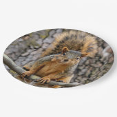 キツネフェイクリス ペーパープレート (アングル)